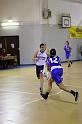 Basket 242025